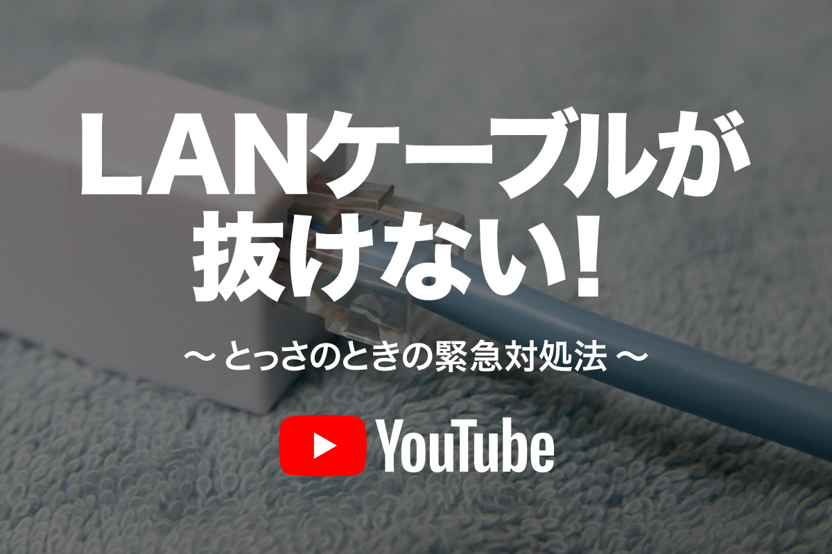 LAN動画